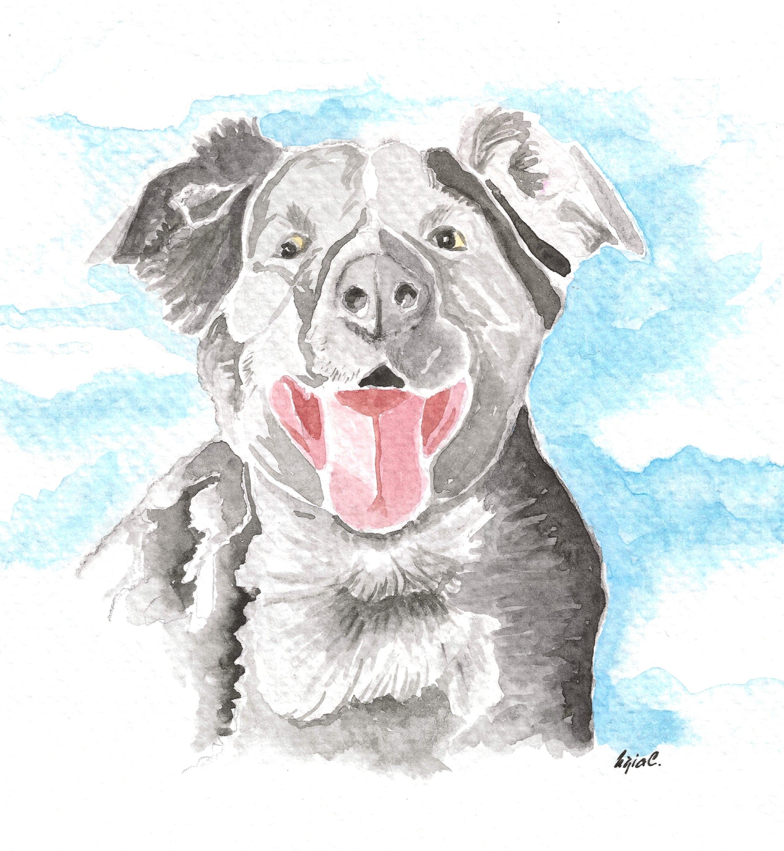 Mascotas o lugares especiales - imagen 4