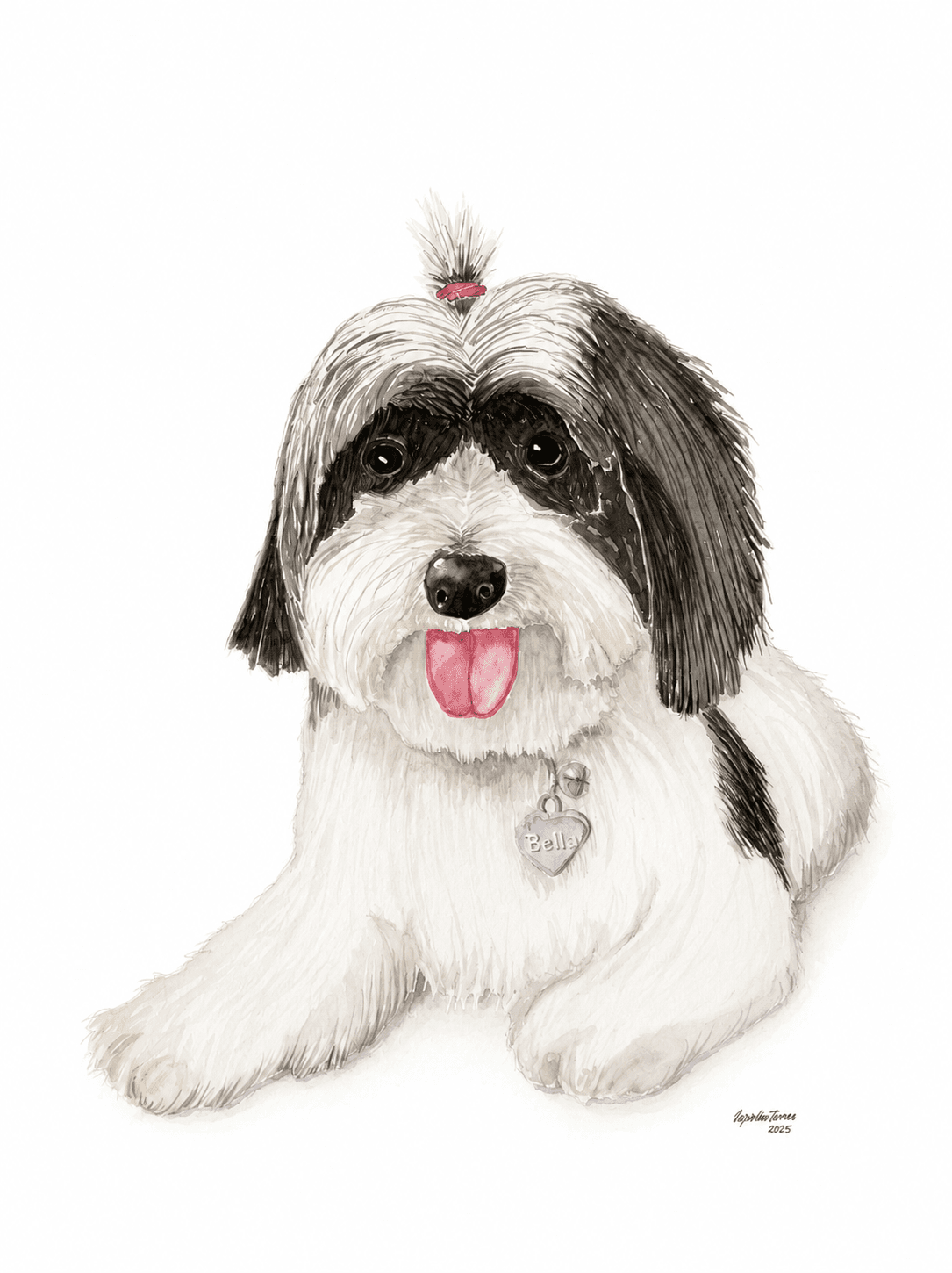 Mascotas o lugares especiales - imagen 3